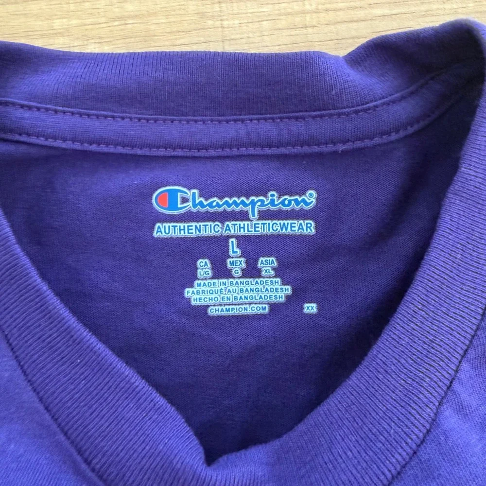 Champion TCU Horned Frogs Purple T-Shirt Mens Large NCAA College AH6421 NEW - Picture 4 of 9
